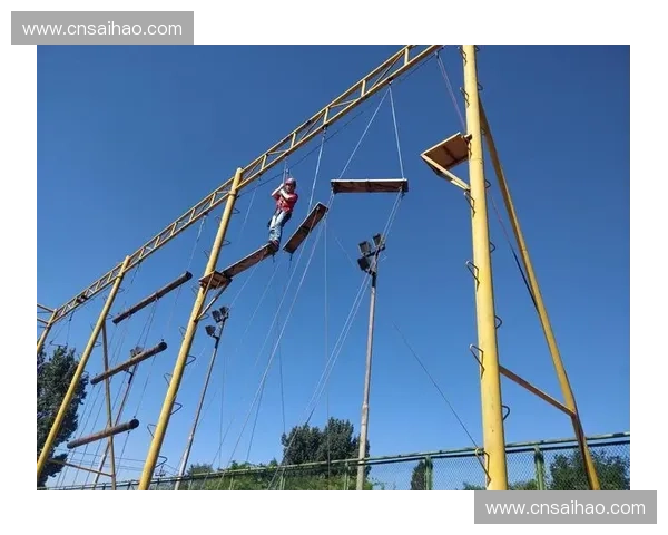 跨越极限挑战自我以训练穿越杆打造全身协调力量与敏捷速度的高效训练新方式