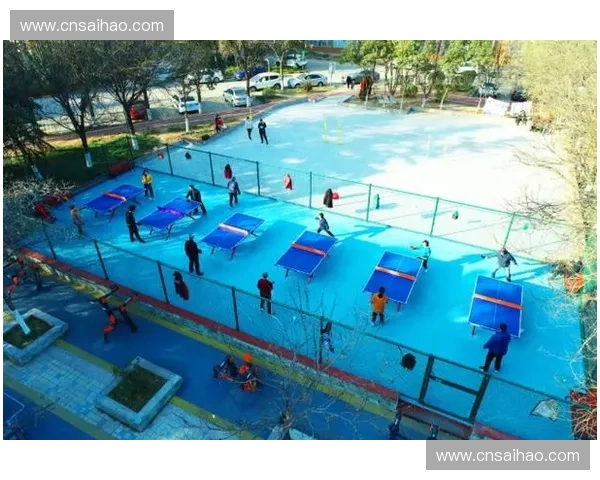 打造多功能运动区促进社区健康发展提升全民健身水平的创新路径